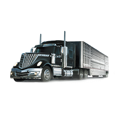 Heavy Vehicle