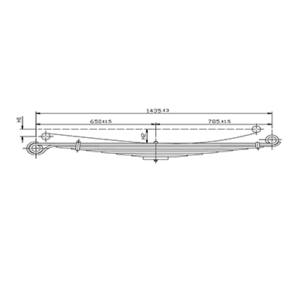 Front Axle Spring Set Mercedes Benz LP608